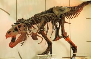 sue-782839001-465x390